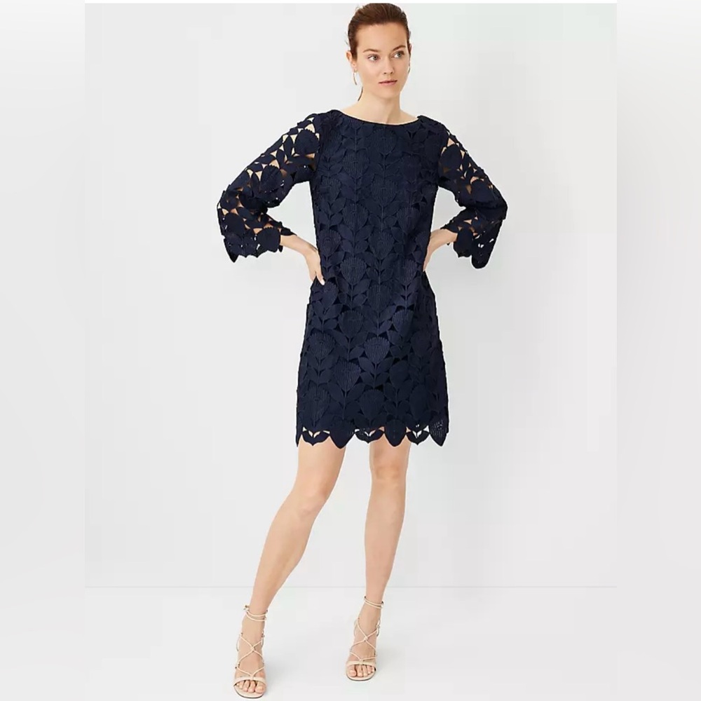 Ann Taylor Studio Collection Boatneck Lace Dress